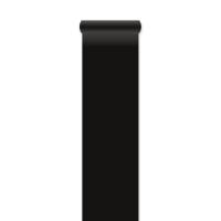 _Loper_Zwart___450cm__L__