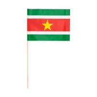 _Suriname_Zwaaivlaggen__10st__1