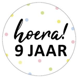 Cadeaustickers_Hoera_9_Jaar___24st