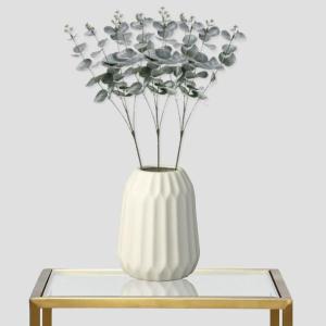 Eucalyptus_Tak___1st