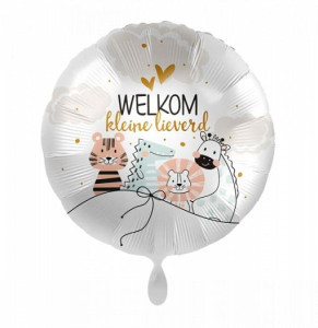 Folieballon_Welkom_Kleine_Lieverd__43cm_