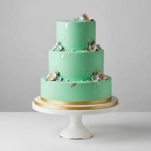 FunCakes_Food_Colour_Gel_Mint_Green___30_gram_1