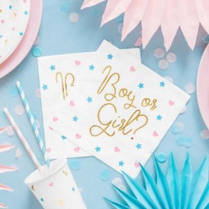 Gender_Reveal_Bekers__6st_