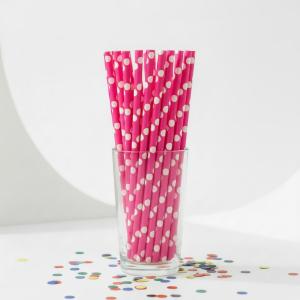 Papieren_Rietjes_Hot_Pink_Dots__24st_2