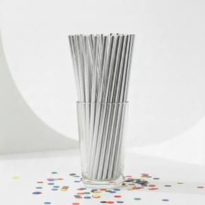 Papieren_Rietjes_Zilver_Metallic__20st_3