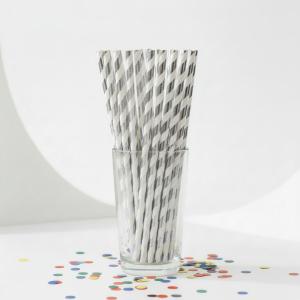 Papieren_Rietjes_Zilver_Spiraal__10st_2