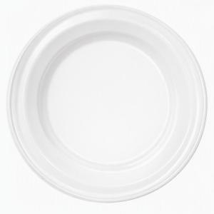 Plastic_Borden_22cm_wit___50st