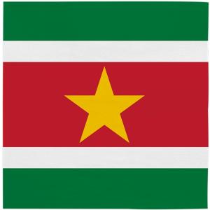 Suriname_Servetten___20st