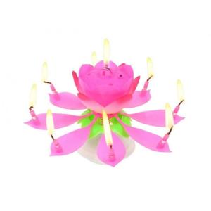 Taartkaars_Bloem_met_Muziek_Roze