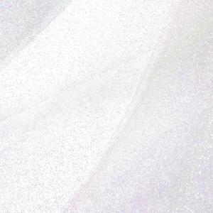 Tule_Glitter_Wit___30cm_x_9m