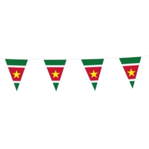 Vlaggenlijn_Suriname__10m_