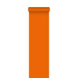 _Loper_Oranje___450cm__L__